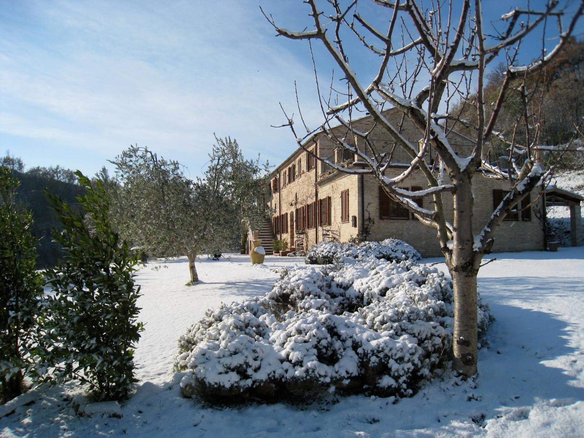Casa Delle Sorgenti Lejlighed Montefiore dellʼAso Eksteriør billede
